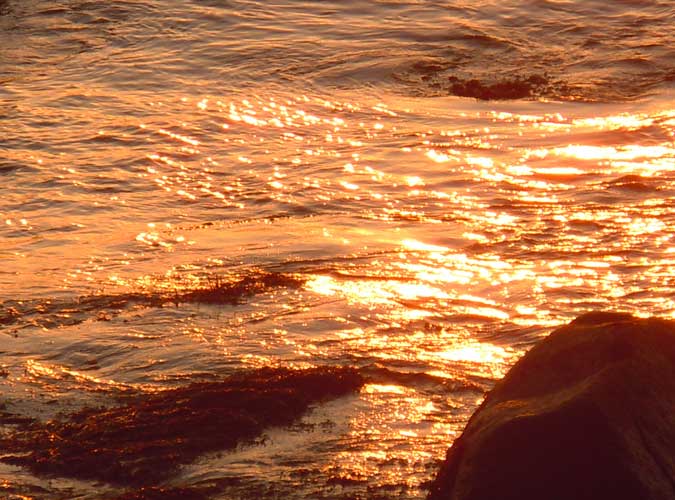 Glowing Surf and Rocks