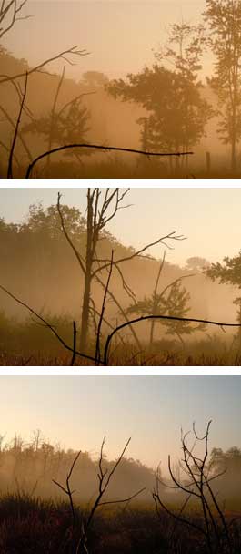 Great Meadow, Sudbury, MA