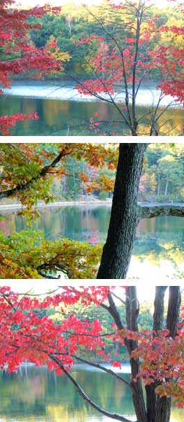 Walden Pond