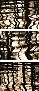 Pines Reflection, Lake Maranacook, ME