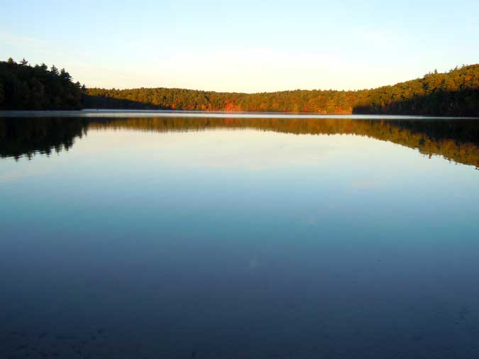 Placid Walden Pond I