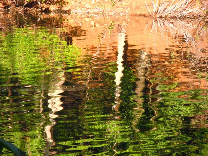 Impressionism at Walden Pond