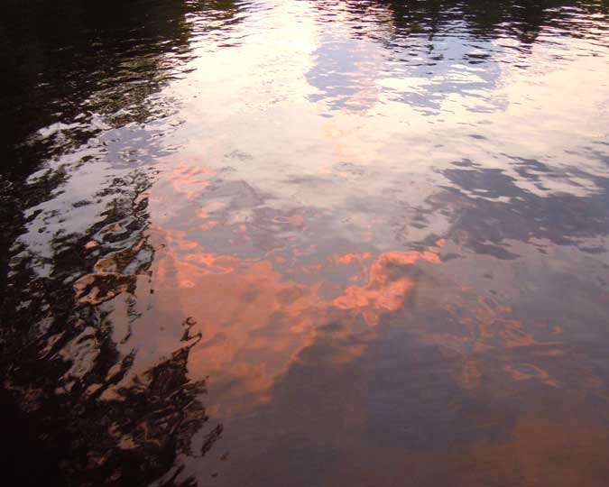 Greys Purples & Salmons I