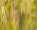 Impressionism at Lake Maranacook